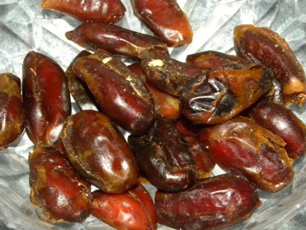 Kurma Iran — Spesialis Kurma Iran #1 di Indonesia — Mazafati, Piarom & Mariami Langsung dari Kebun Iran